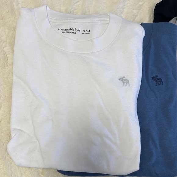 Abercrombie & Fitch Men's Short Sleeve Tee Set - White, Blue, Gray, Black - Picture 5 of 9